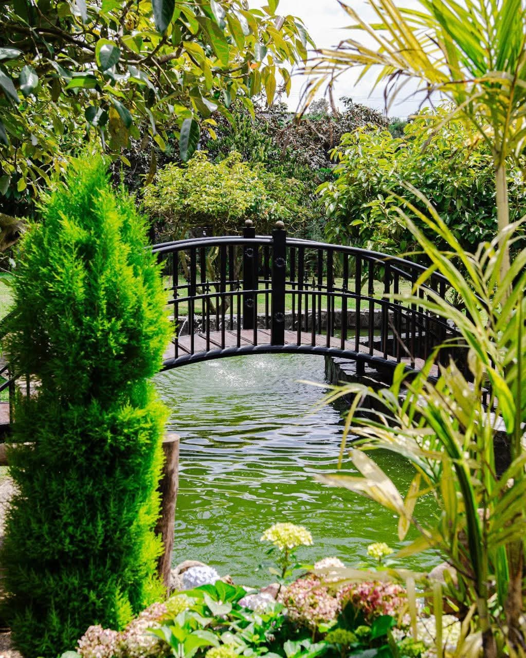 Puente de madera sobre la piscina